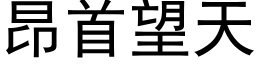 昂首望天 (黑體矢量字庫)