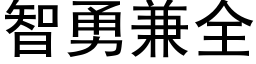 智勇兼全 (黑體矢量字庫)