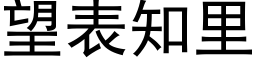 望表知裡 (黑體矢量字庫)