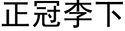 正冠李下 (黑体矢量字库)