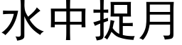 水中捉月 (黑体矢量字库)