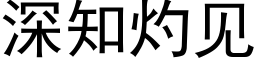 深知灼見 (黑體矢量字庫)