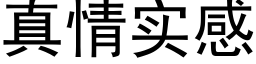 真情实感 (黑体矢量字库)