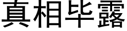 真相畢露 (黑體矢量字庫)