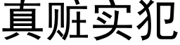 真贓實犯 (黑體矢量字庫)