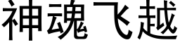 神魂飛越 (黑體矢量字庫)