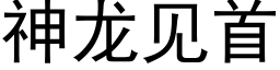 神龍見首 (黑體矢量字庫)