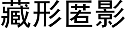 藏形匿影 (黑體矢量字庫)