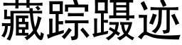 藏蹤蹑迹 (黑體矢量字庫)