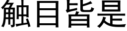 觸目皆是 (黑體矢量字庫)