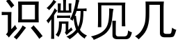 識微見幾 (黑體矢量字庫)