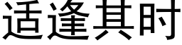 适逢其時 (黑體矢量字庫)