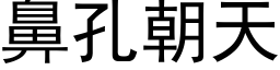 鼻孔朝天 (黑体矢量字库)