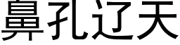 鼻孔遼天 (黑體矢量字庫)