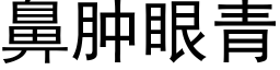 鼻肿眼青 (黑体矢量字库)