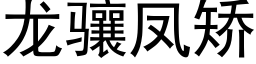 龍骧鳳矯 (黑體矢量字庫)