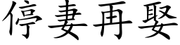 停妻再娶 (楷體矢量字庫)