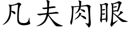 凡夫肉眼 (楷體矢量字庫)