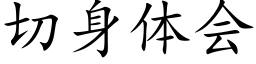 切身体会 (楷体矢量字库)