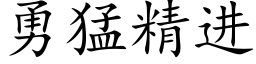 勇猛精进 (楷体矢量字库)