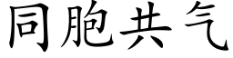 同胞共氣 (楷體矢量字庫)