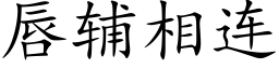 唇輔相連 (楷體矢量字庫)