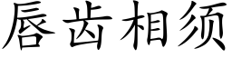 唇齿相须 (楷体矢量字库)