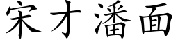 宋才潘面 (楷体矢量字库)