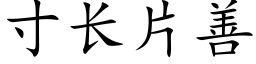 寸长片善 (楷体矢量字库)