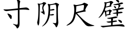 寸阴尺璧 (楷体矢量字库)