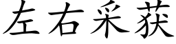 左右采获 (楷体矢量字库)