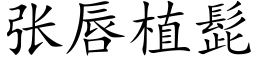 張唇植髭 (楷體矢量字庫)