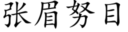 張眉努目 (楷體矢量字庫)