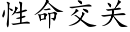 性命交关 (楷体矢量字库)