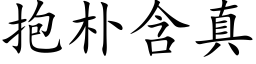 抱樸含真 (楷體矢量字庫)