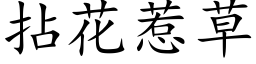 拈花惹草 (楷體矢量字庫)