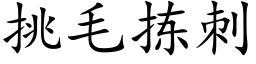 挑毛揀刺 (楷體矢量字庫)