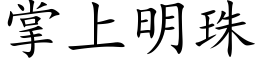 掌上明珠 (楷體矢量字庫)