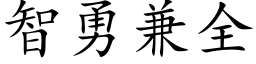 智勇兼全 (楷体矢量字库)