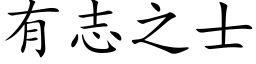 有志之士 (楷体矢量字库)