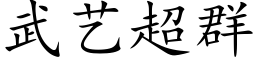 武藝超群 (楷體矢量字庫)