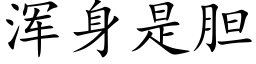 浑身是胆 (楷体矢量字库)