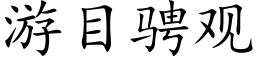 游目骋观 (楷体矢量字库)