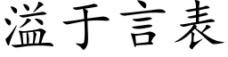 溢于言表 (楷体矢量字库)