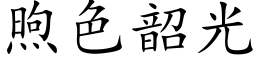 煦色韶光 (楷体矢量字库)