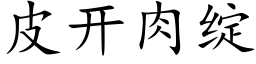 皮开肉绽 (楷体矢量字库)