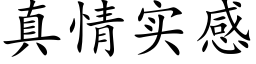 真情实感 (楷体矢量字库)