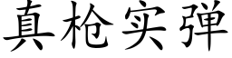 真枪实弹 (楷体矢量字库)