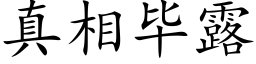 真相畢露 (楷體矢量字庫)