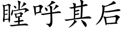 瞠呼其后 (楷体矢量字库)